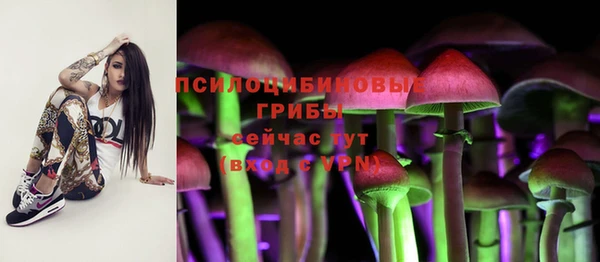 стафф Алексин