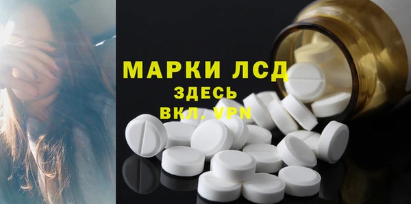 стаф Алзамай