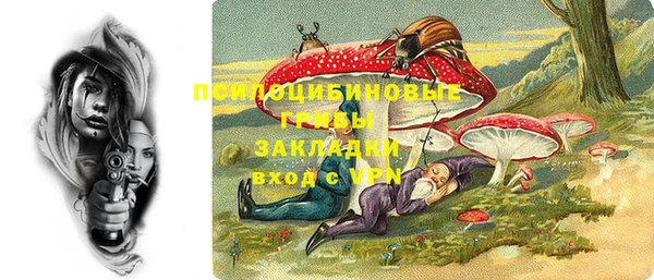 стаф Алзамай