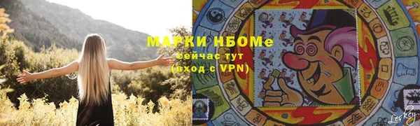 стаф Алзамай