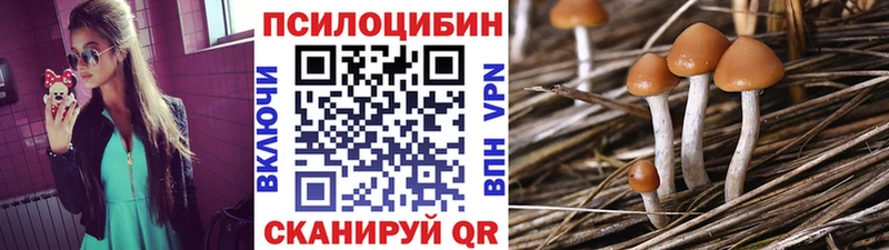 Галлюциногенные грибы мицелий  купить наркоту  Выкса 