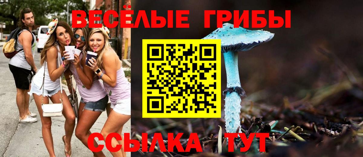 Галлюциногенные грибы мухоморы Выкса