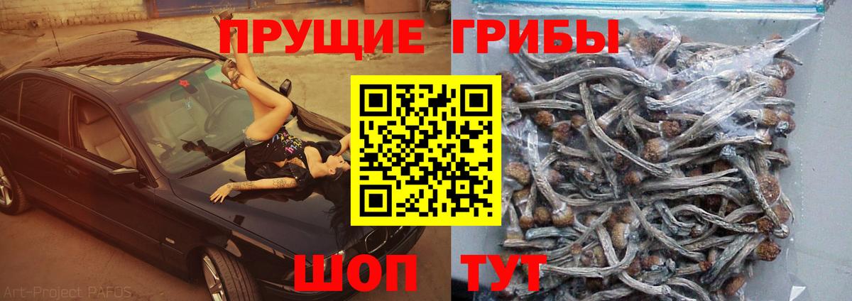 Галлюциногенные грибы прущие грибы  Вход с VPN  Выкса 