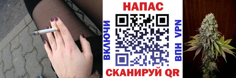 Бошки Шишки SATIVA & INDICA  продажа наркотиков  Выкса 